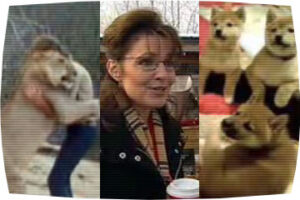 Live! Nude! Puppies! The year in viral video - Salon.com