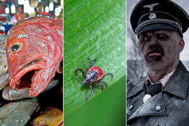 Images from "The End of the Line," left, "Under Our Skin," and "Dead Snow."