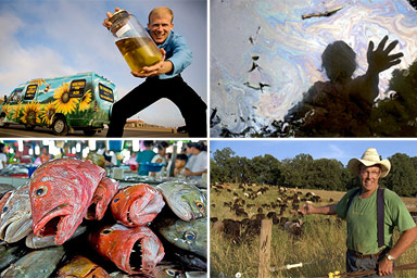 Stills from Fuel, Crude, Food Inc and The End of the Line