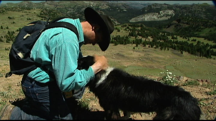 A still from "Sweetgrass"