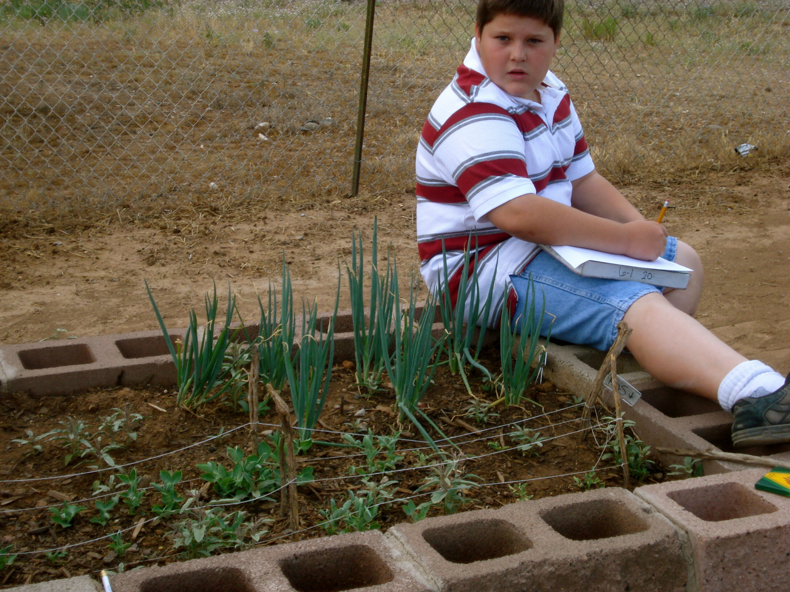 A student in Novoselick's school garden