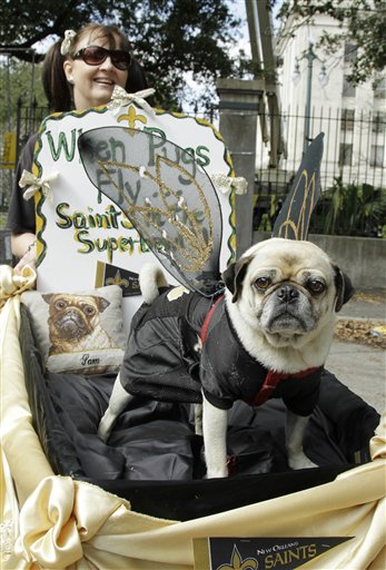 Liz Goodion pushes her dog Sam in the Mystic Krewe of Barkus parade marching through the streets of the French Quarter in New Orleans,  Sunday, Feb. 7, 2010. The theme of this year's parade is "Barkus Goes tailgating" in honor of the New Orleans Saints appearing in the Super Bowl in Miami. (AP Photo/Bill Haber) (AP)