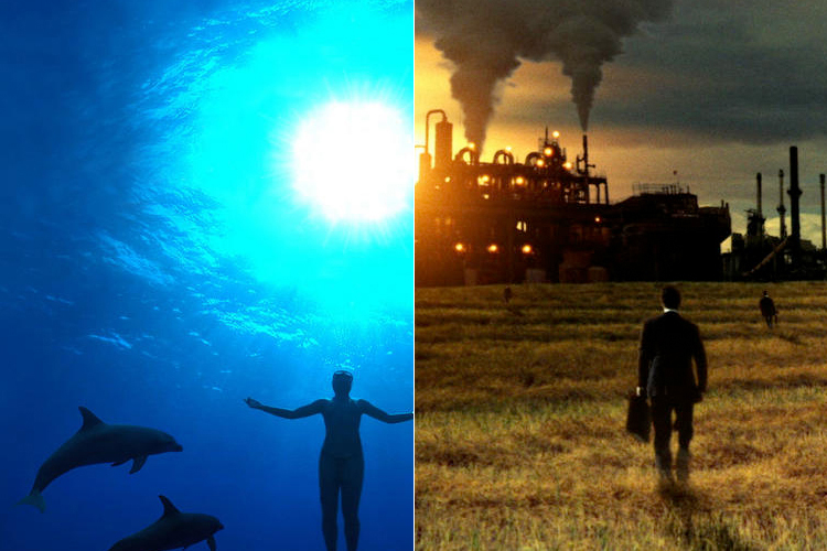 "The Cove" and "Food, Inc."