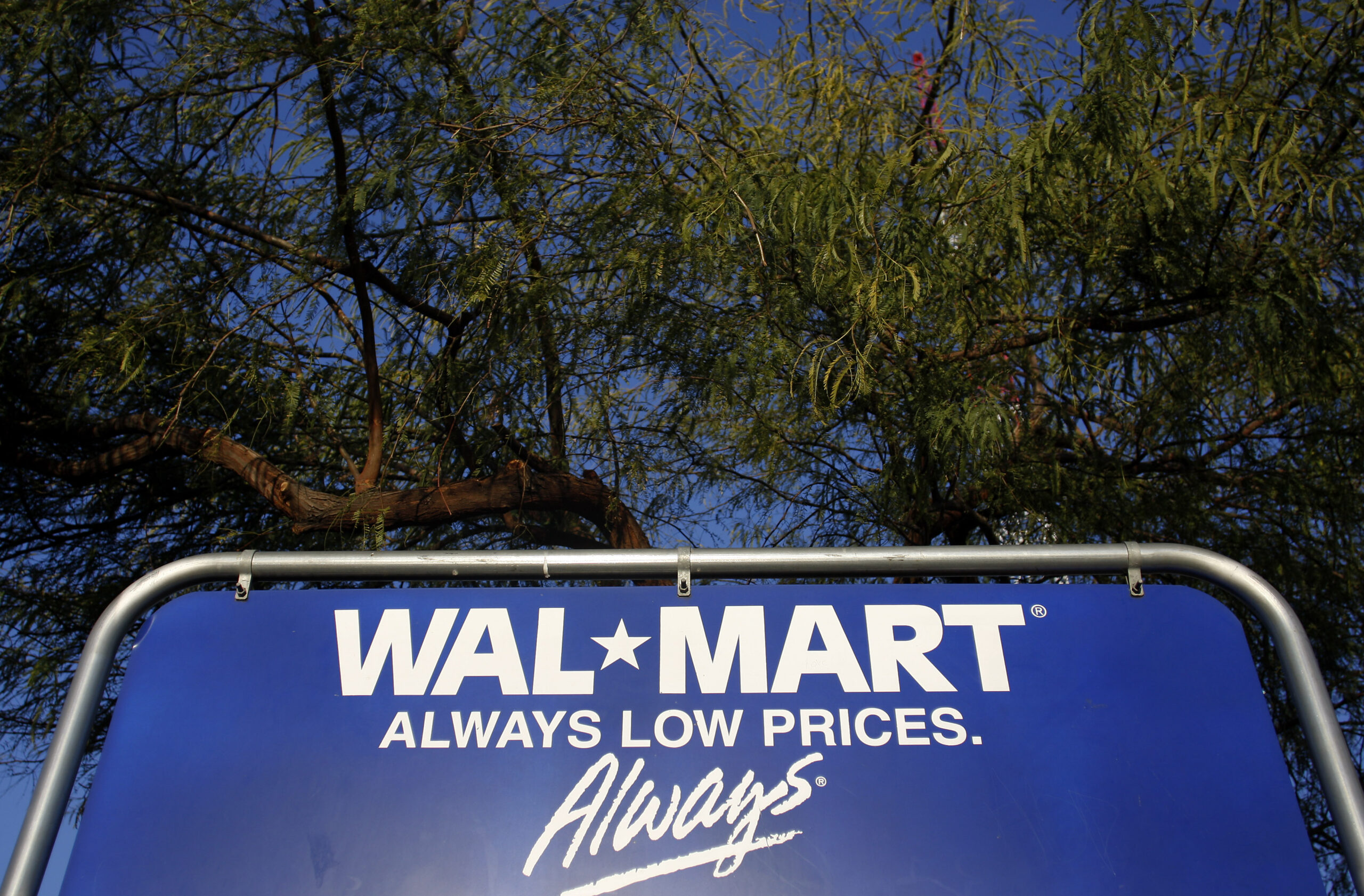 The Wal-Mart logo is seen on a sign in Phoenix, Arizona, February 18, 2010. Wal-Mart Stores Inc, the world's biggest retailer, releases its fourth quarter earnings report on on Thursday.  REUTERS/Joshua Lott (UNITED STATES - Tags: BUSINESS) (Reuters)
