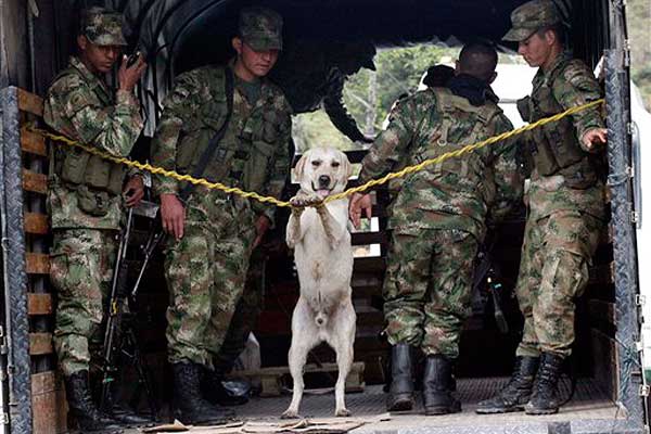 (AP/Fernando Vergara)