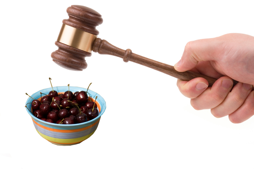 Gavel in the hand (Andrei Tchernov)