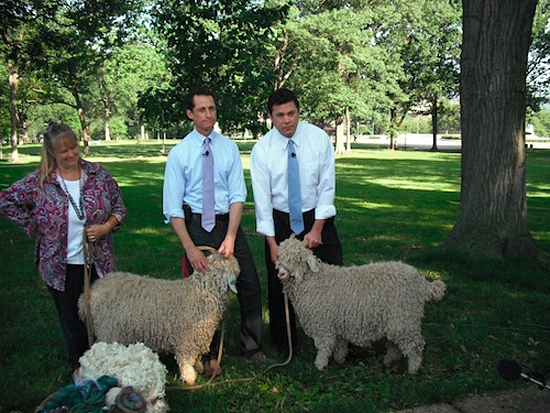 New York Rep. Anthony Weiner and Utah Republican Rep. Jason Chaffetz