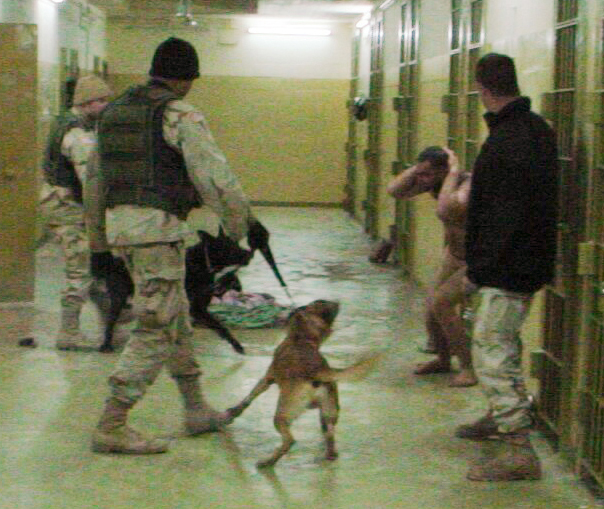 This Dec. 12, 2003 file image shows Sgt. Michael Smith, left, with his black dog Marco, Sgt. Santos Cardona, second right, with his Belgian shepherd Duco, detainee Mohammed Bollendia and Pvt. Ivan L. Frederick II, right, during an incident at the Abu Ghraib prison in Baghdad, Iraq.