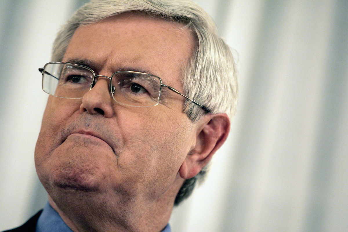 Former Speaker of the U.S House of Representatives Newt Gingrich addresses the Women's National Republican Club in New York, February 15, 2007.   REUTERS/Mike Segar (UNITED STATES) (Â© Mike Segar / Reuters)