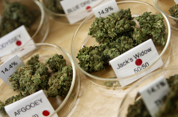 Marijuana buds, including their cost and degree of potency, are shown in a medical marijuana dispensary in Oakland, California June 30, 2010. Picture taken June 30, 2010.  REUTERS/Robert Galbraith  (UNITED STATES - Tags: SOCIETY) (Reuters)