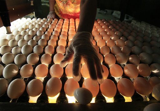 A United States Department of Agriculture inspector checks eggs at Maine Contract Farming, Thursday, July 1, 2010, in Turner, Maine.  New England's largest egg farm is taking steps to show it has improved care of its hens after reaching a settlement over allegations its birds were mistreated. (AP Photo/Robert F. Bukaty) (AP)