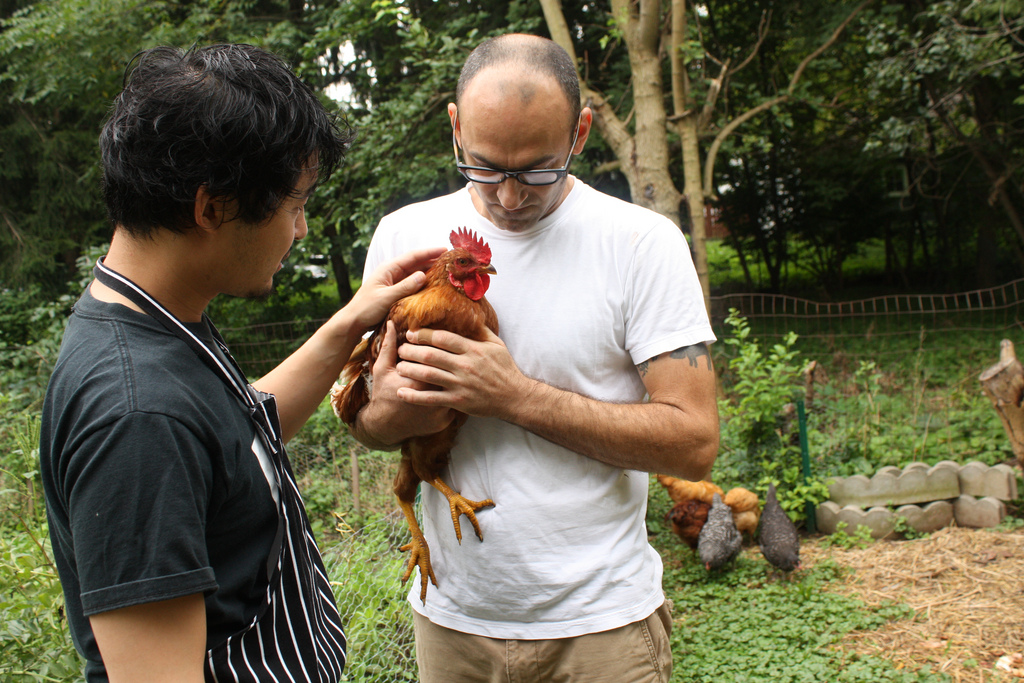 Francis Lam, Shelby Kibler, and the bird