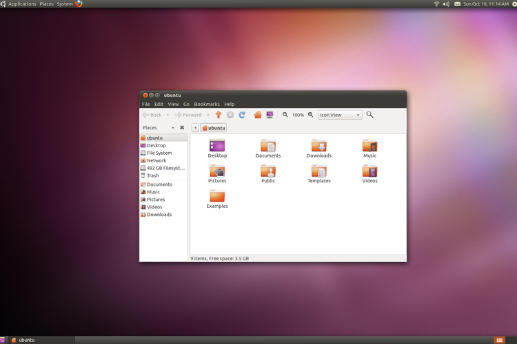 Ubuntu 10.10