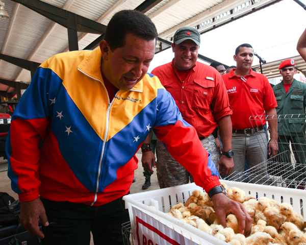 Hugo Chavez (Reuters)