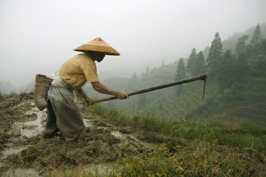 A farmer from the Zhuang ethnic minority works at his rice terrace near Pingan Village in Longsheng in southwest China's Guangxi Zhuang Autonomous Region May 25, 2007. Picture taken May 25, 2007. REUTERS/Nir Elias (CHINA) (Â© Nir Elias / Reuters)