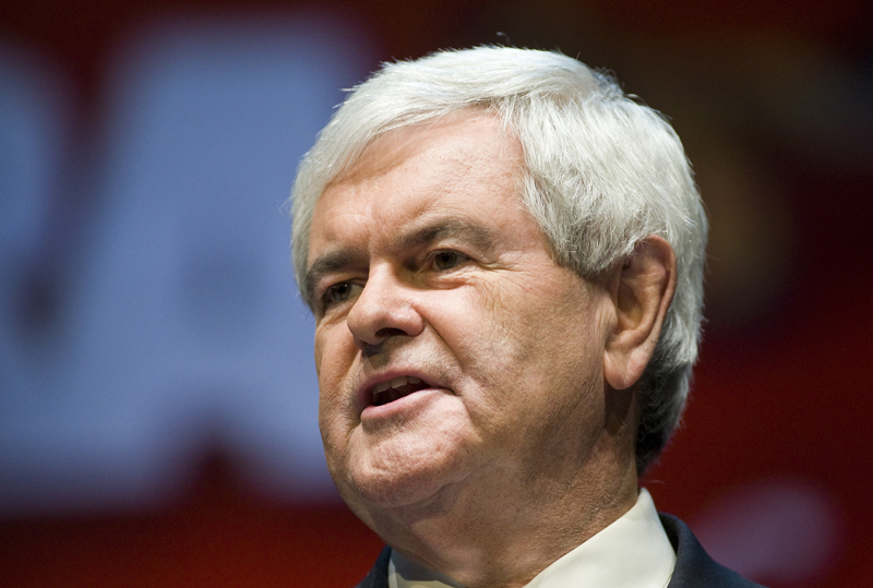 Former Speaker of the House Newt Gingrich speaks during the National Rifle Association's 139th annual meeting in Charlotte, North Carolina on May 15, 2010. REUTERS/Chris Keane (UNITED STATES - Tags: POLITICS) (Â© Chris Keane / Reuters)