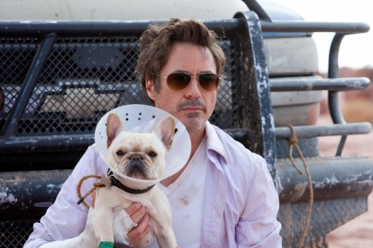 Robert Downey, Jr. in "Due Date"