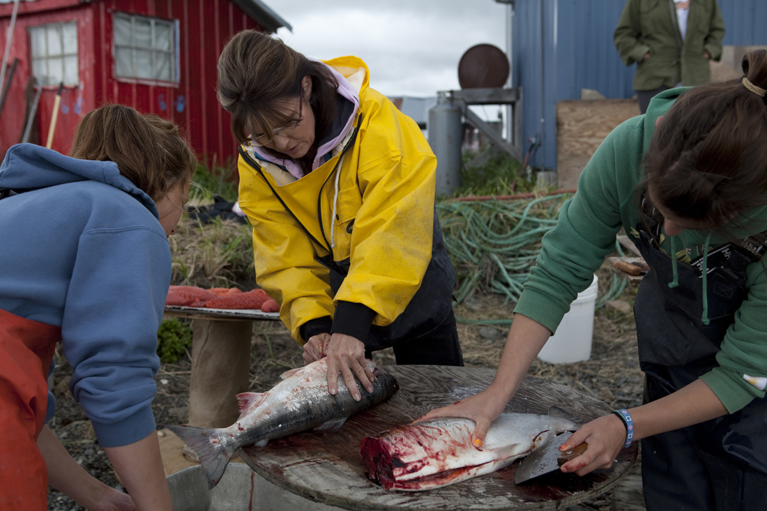 DILLINGHAM, ALASKA -JULY 05 2010: Sarah Palin guts and cuts salmon with cousin Ina Bouker, in red bandana, in Ekok, a small fishing village . Bouker spends the summer in Ekok,,  fishing, cutting and drying salmon. (Gilles Mingasson/getty Images)