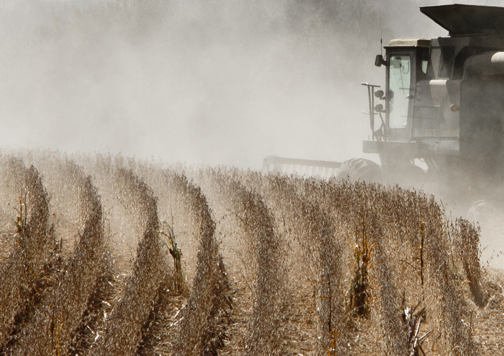 FILE - In this Oct. 6, 2010 file photo, soy beans are harvested near Walton, Neb. Republicans might take control of Congress as they ride a wave of voter anger over deficit spending and big government, but experts who follow agriculture say they don't expect deep cuts in subsidies to farmers who grow crops such as corn and soybeans. (AP Photo/Nati Harnik) (Nati Harnik)