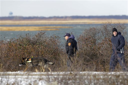 Authorities search in the brush by the side of the road at Cedar Beach, near Babylon, N.Y., Tuesday, Dec. 14, 2010. Police looking for a missing prostitute on Long Island's Fire Island have discovered three bodies and a set of skeletal remains near Oak Beach since Saturday. Investigators are considering the possibility that a serial killer may have dumped four bodies along the same quarter-mile stretch of beachside road, a police chief said Tuesday. (AP Photo/Seth Wenig) (AP)