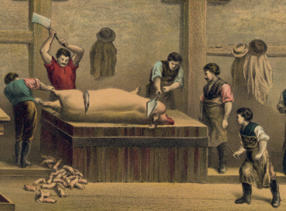 A depiction of pork butchering in Cincinnati from an 1873 print.