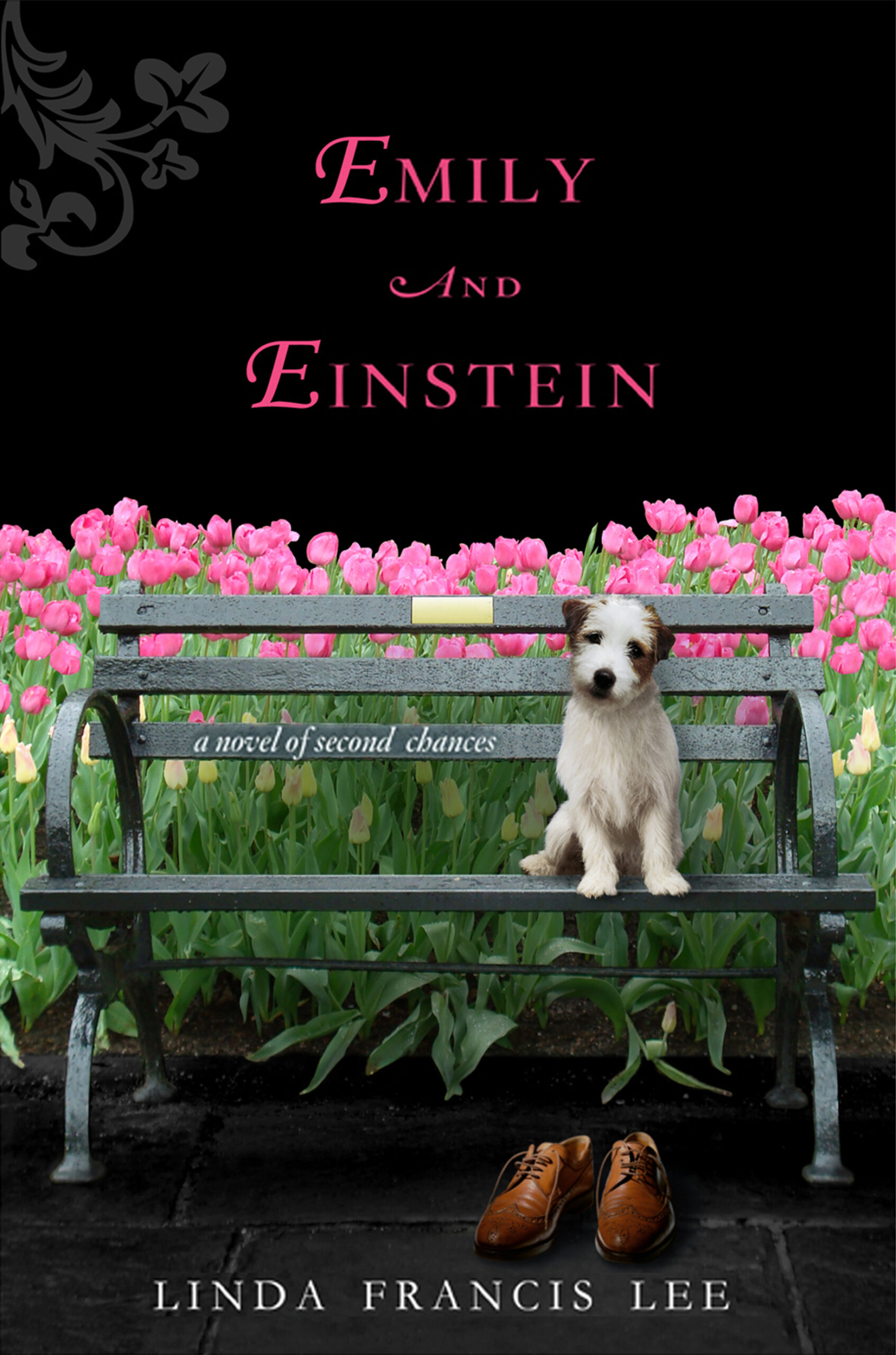 "Emily and Einstein" by Linda Francis Lee