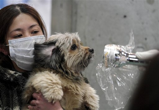 A woman holds her dog as they are scanned for radiation at a temporary scanning center for residents living close to the quake-damaged Fukushima Dai-ichi nuclear power plant Wednesday, March 16, 2011, in Koriyama, Fukushima Prefecture, Japan. (AP Photo/Gregory Bull) (AP)