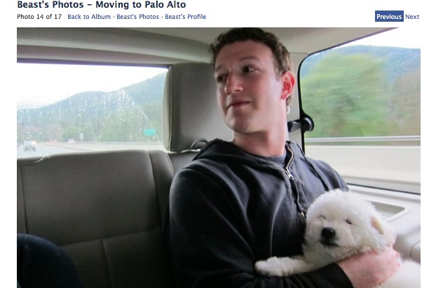 This puppy has the minimum amount of Mark's attention.