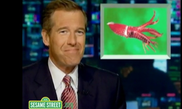 If squids had bones, Brian Williams would try to tickle their funny ones.
