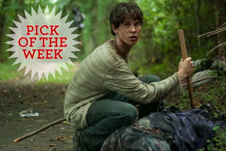 Connor Paolo in "Stake Land."
