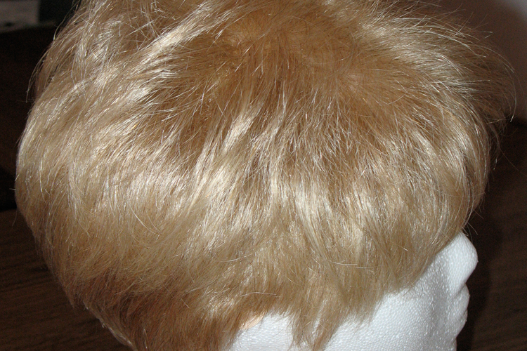 A photo of the author's wig