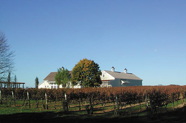 (<a href='http://www.bedellcellars.com/'>Bedell Cellars</a>)