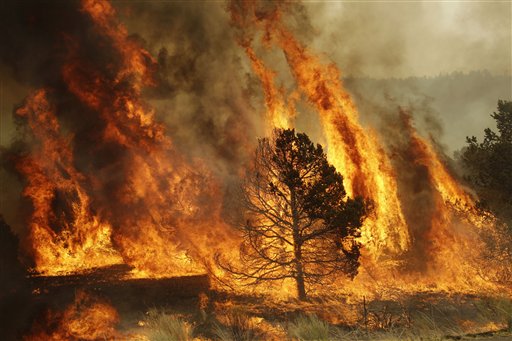 A forest burns during a backburn operation to fight the Wallow Fire in Nutrioso, Ariz., Friday, June 10, 2011.    A massive wildfire in eastern Arizona that has claimed more than 30 homes and forced nearly than 10,000 people to evacuate is likely to spread into New Mexico soon, threatening more towns and possibly endangering two major power lines that bring electricity from Arizona to West Texas.(AP Photo/Marcio Jose Sanchez) (AP)