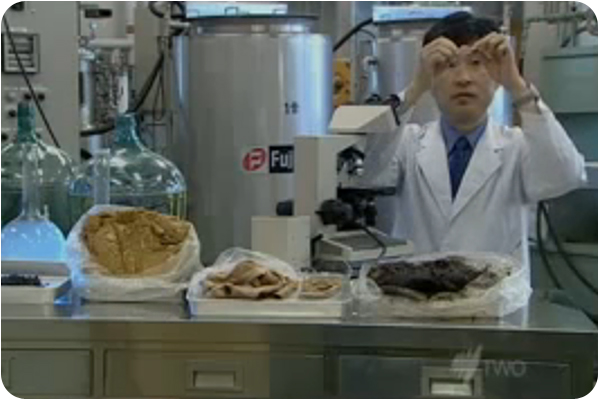 A screengrab from a video about the sewage-to-meat project.