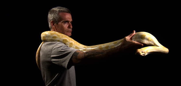 Henry Rollins with a burmese python in Los Angeles, CA.
(Photo Credit: Â© NGT) (Ngt)