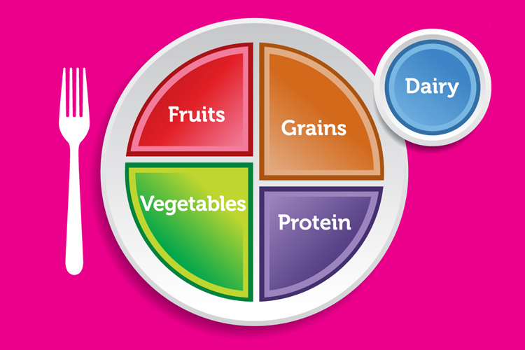 "My Plate," the USDA's new healthy eating symbol.