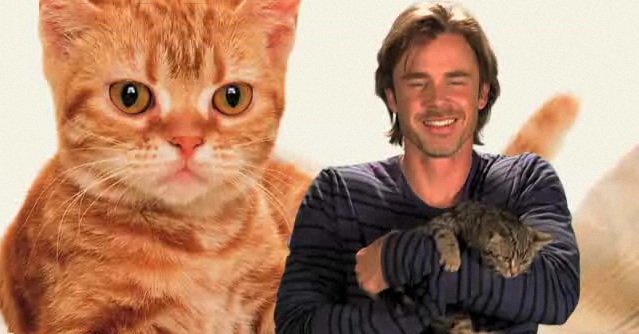 Sam Trammell loves kittens!
