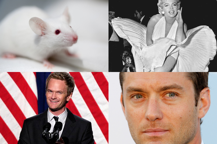 Can you guess why these things are making us feel weird?