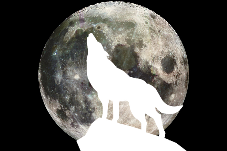 Are you man enough to become a wolf?
