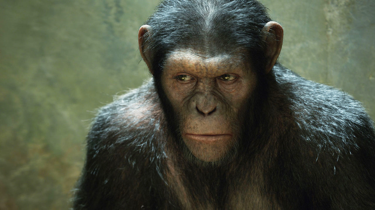 A still from "Rise of the Planet of the Apes"
