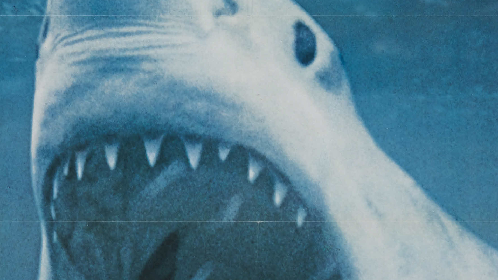 Still from "Blue Water, White Death."