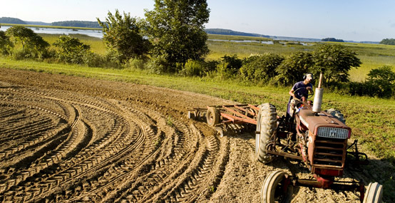(Courtesy of Maine Farmland Trust)