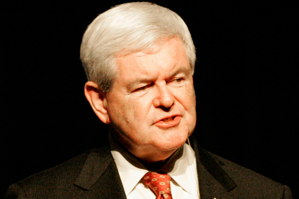 Newt Gingrich (Reuters/Mary Chastain)