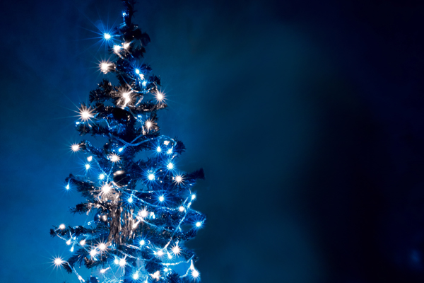 (<a href='http://www.shutterstock.com/gallery-144247p1.html'>diless</a> via <a href='http://www.shutterstock.com/'>Shutterstock</a>)