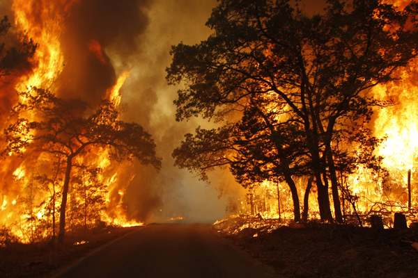 Flames engulf a road near Bastrop State Park as a wildfire burns out of control near Bastrop, Texas September 5, 2011. (Mike Stone / Reuters)