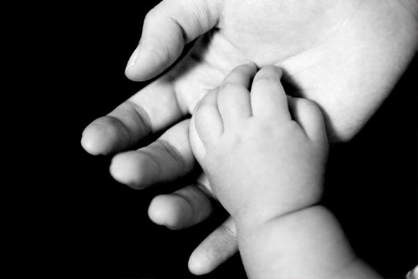 (<a href='http://www.shutterstock.com/gallery-544783p1.html'>hxdbzxy</a> via <a href='http://www.shutterstock.com/'>Shutterstock</a>)