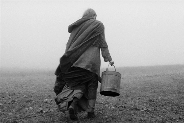 A scene from "The Turin Horse"