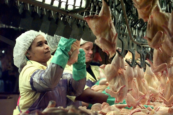 Workers at the Perdue Farms Inc. processing plant prepare cleaned and gutted chickens for packaging at the plant in Accomac, Va. (AP/J. Scott Applewhite)