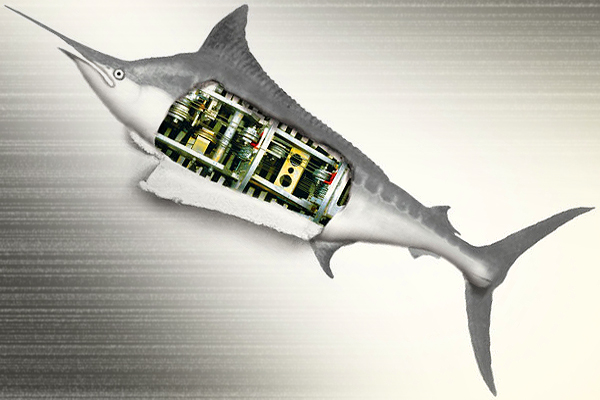 A detail from the cover of "Darwin's Devices"
