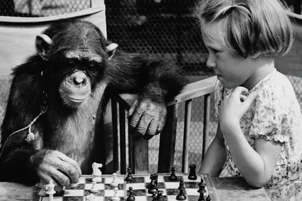 A detail from the cover of "Games Primates Play: An Undercover Investigation of the Evolution and Economics of Human Relationships"